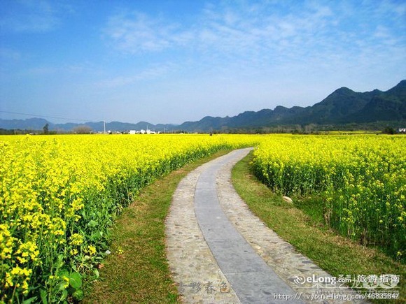 ȫ��&ldquo;���S&rdquo;�؈D���������S�T��o���֓�