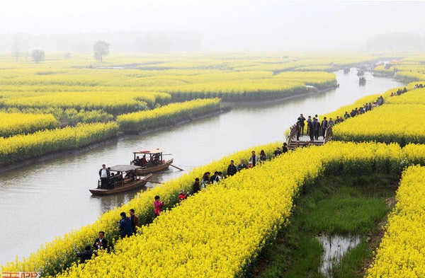 ȫ��&ldquo;���S&rdquo;�؈D���������S�T��o���֓�