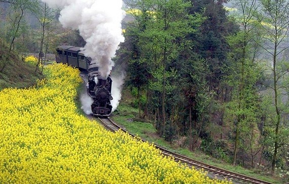 ȫ��&ldquo;���S&rdquo;�؈D���������S�T��o���֓�