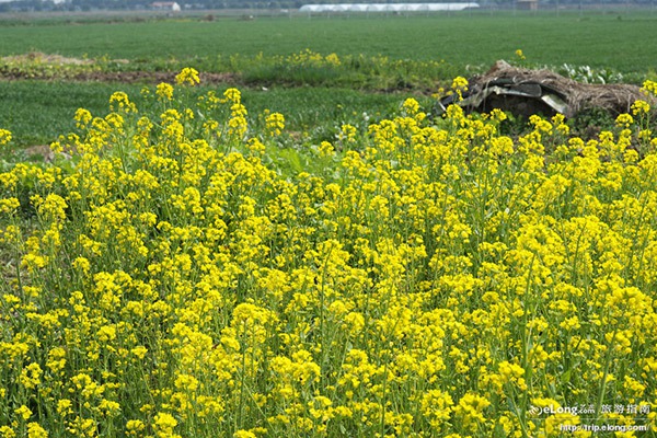 ȫ��&ldquo;���S&rdquo;�؈D���������S�T��o���֓�