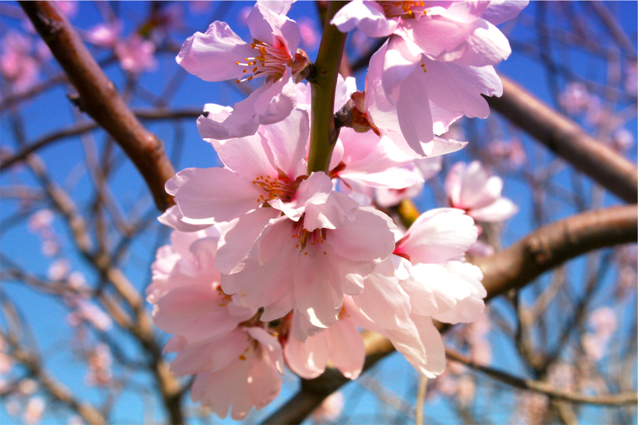 ��ĩ�옷̤���� ������߅�p�����{·��