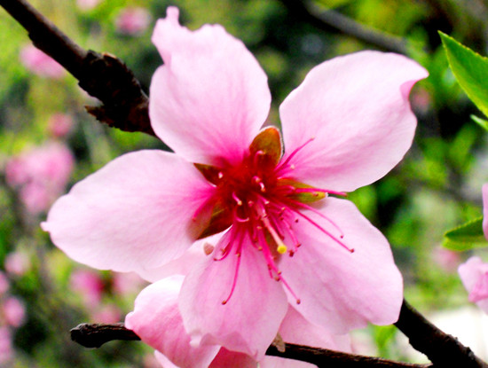 ��ĩ�옷̤���� ������߅�p�����{·��