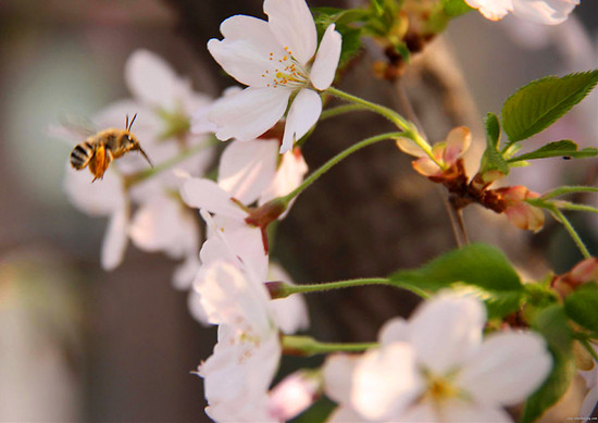 ��ĩ�옷̤���� ������߅�p�����{·��