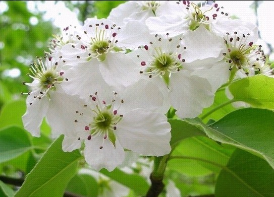 ��ĩ�옷̤���� ������߅�p�����{·��