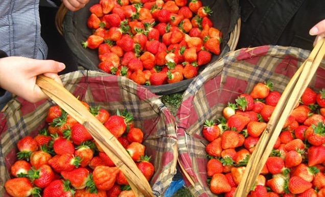 ��ĩ�Ͳ�ݮ��һ���s&ldquo;��&rdquo; ������߅ȥ�L�r