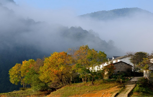 ���T���^�Ǻ�ȥ̎ ���ҁ������ǵĶ�����