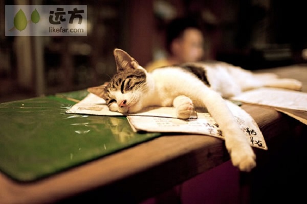 ���CƱ���� ��&ldquo;�w��&rdquo;�����^��ĩ