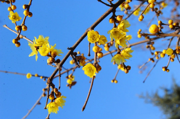 ÷�����Կຮ�� �����p÷�����]