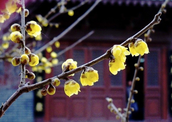 ÷�����Կຮ�� �����p÷�����]