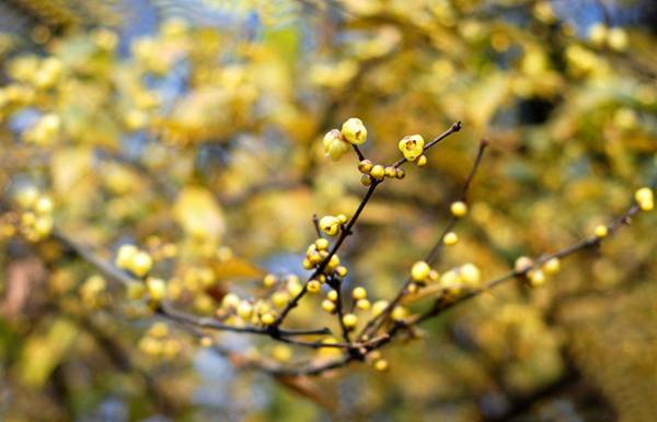 ÷�����Կຮ�� �����p÷�����]