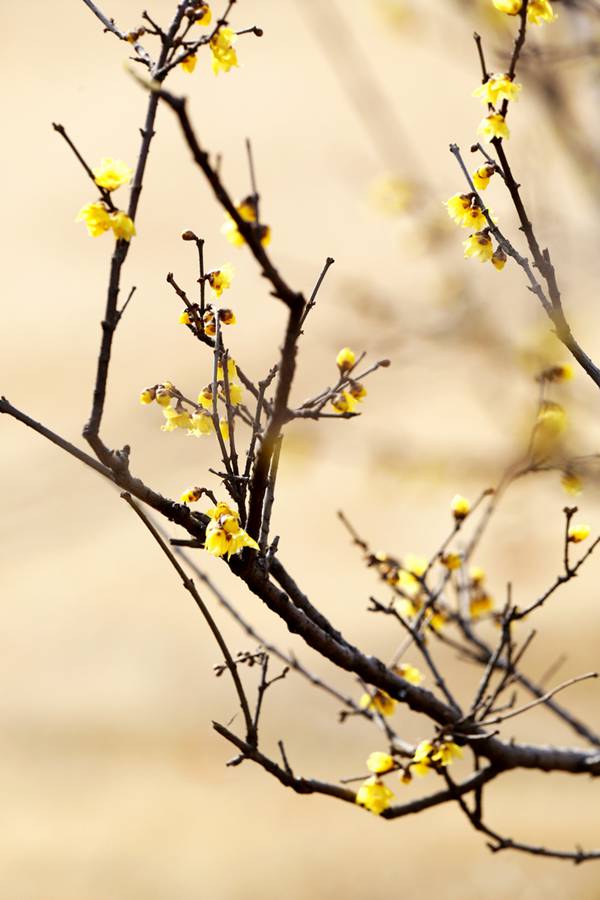 ÷�����Կຮ�� �����p÷�����]