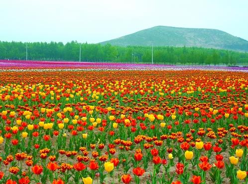 �s��(hu��)������ �������ɽ