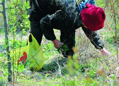 ��������Ұ��ȥ���� ���ݲ��ھ�·�D����