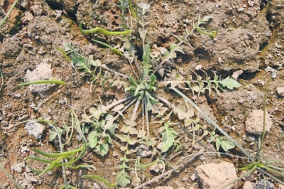 ��������Ұ��ȥ���� ���ݲ��ھ�·�D����