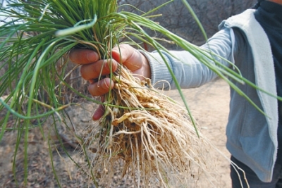 ��������Ұ��ȥ���� ���ݲ��ھ�·�D����