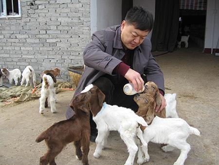 ����ʡ���ξַe�O�_(k��i)չ�v���ؚ����