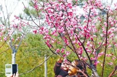 ���|�^(q��)��ɫʮ�� �p����ȥ̎