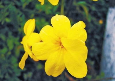 ���|�^(q��)��ɫʮ�� �p����ȥ̎