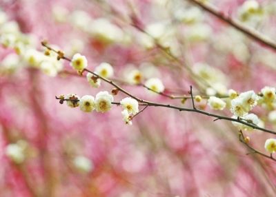 ��ɫʮ�� �p����ȥ̎