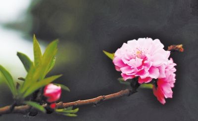 ��ɫʮ�� �p����ȥ̎