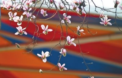 ��ɫʮ�� �p����ȥ̎