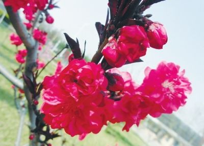 ��ɫʮ�� �p����ȥ̎