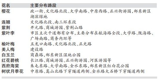 ��ɫʮ�� �p����ȥ̎