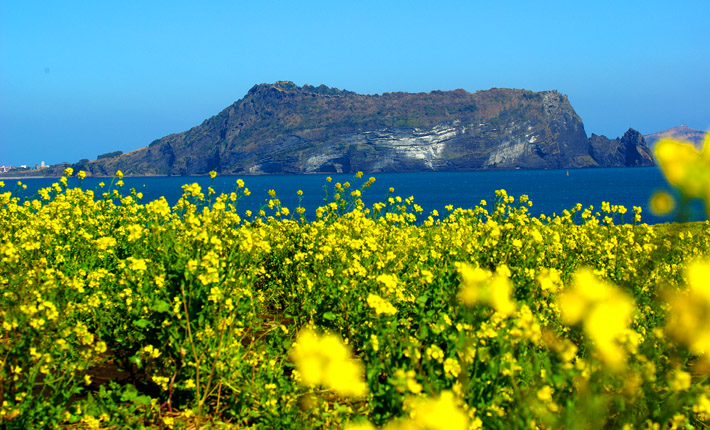 �n����(j��)�ݍu(�Ͳ˻�