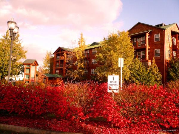 �p��֮�� ȫ���p��ʢ��TOP8