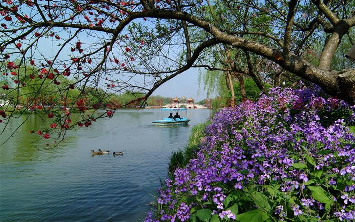 ����һ�������r(sh��) ����һĨ�ҷ���