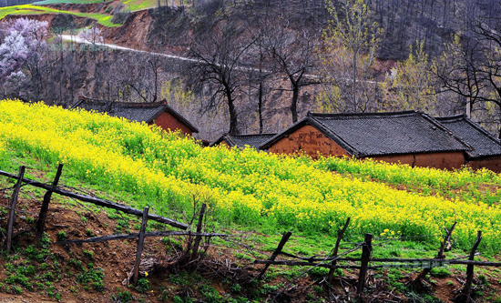 ���Ͳ˻������h(yu��n) �P�c�����ۺ����Լ����Ͳ˻���