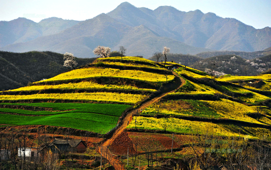 ���Ͳ˻������h(yu��n) �P�c�����ۺ����Լ����Ͳ˻���