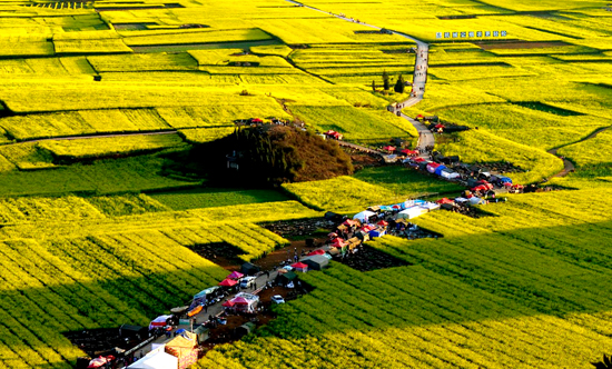 ���Ͳ˻������h(yu��n) �P�c�����ۺ����Լ����Ͳ˻���