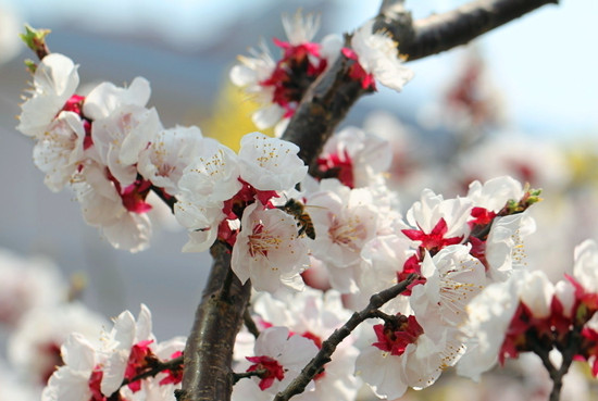 ����3����5�½������p�����ű�