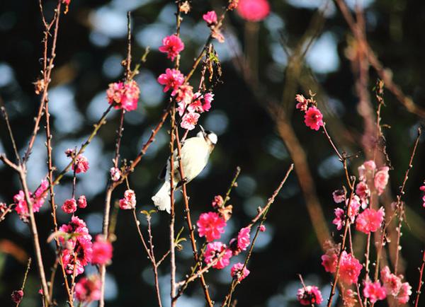 ��һ��(ch��ng)�����&ldquo;�G��&rdquo; ʡ��(n��i)�p�һ��P�c(di��n)