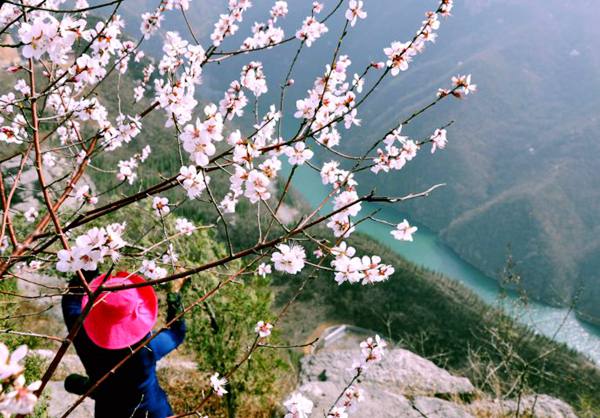 ��һ��(ch��ng)�����&ldquo;�G��&rdquo; ʡ��(n��i)�p�һ��P�c(di��n)