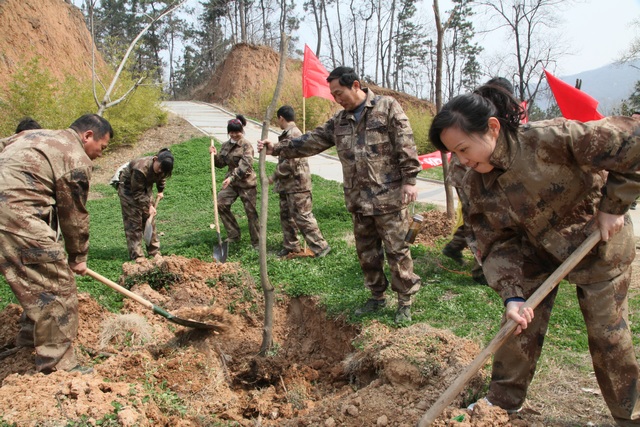 �v�R�������ξַe�O�_(k��i)չ�x��(w��)ֲ��(sh��)���(d��ng)