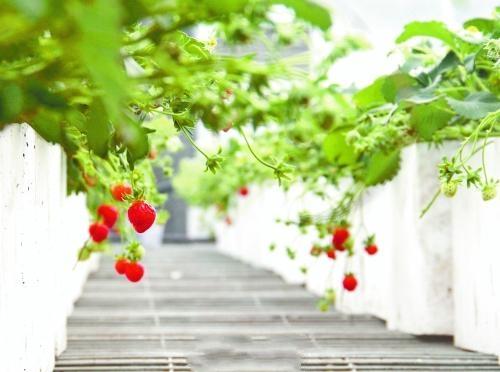 ��|��(gu��)�H�f�@