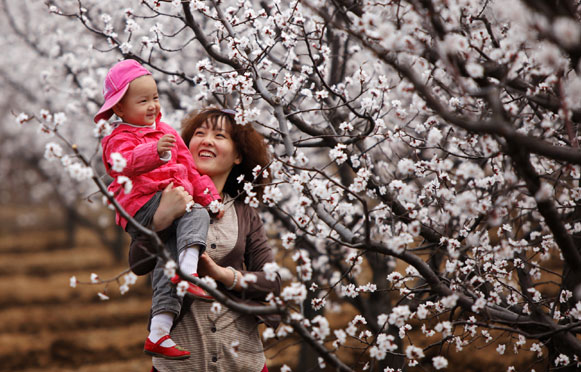 �������_(t��i)ɽ �p���p��������