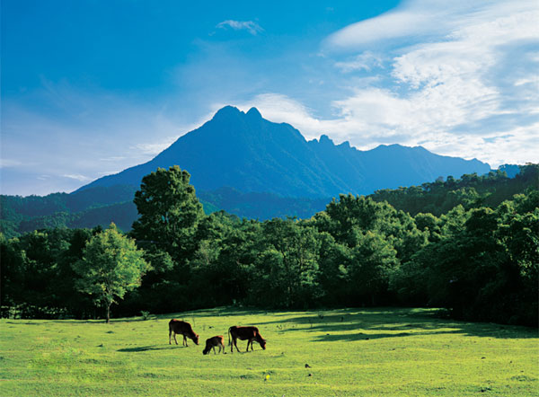 ���x�F���� ȥ������