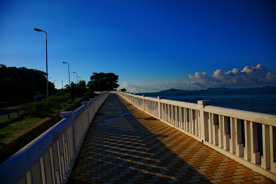 ���x�F���� ȥ������