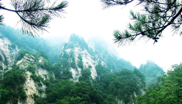 ���������Ͷ�V�Ԓ��0377��63196220