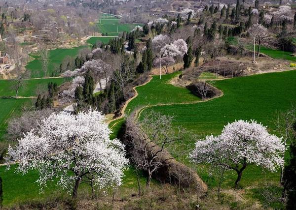 2014���(y��ng)�h(hu��n)������ʮ�ߌ��ӻ���(ji��)�����_(k��i)Ļ