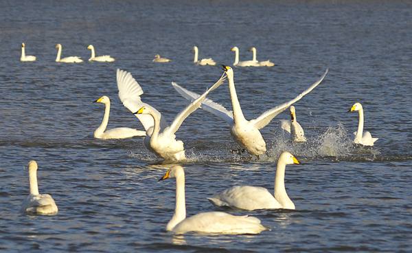 �����e�^���p�Z��ѵ�&mdash;&mdash;����