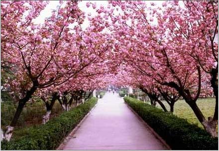 �������R�� ���l(f��)̤��Ĳ���һ�̲�ͣЪ