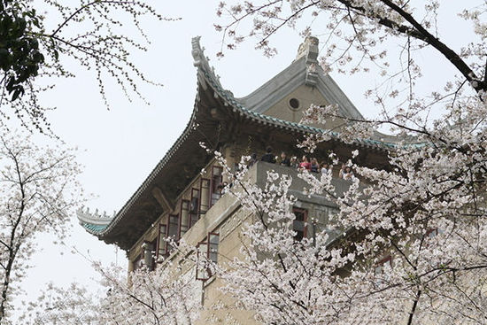 �����@������ �P�c���{�α�ȥ�ĳ���