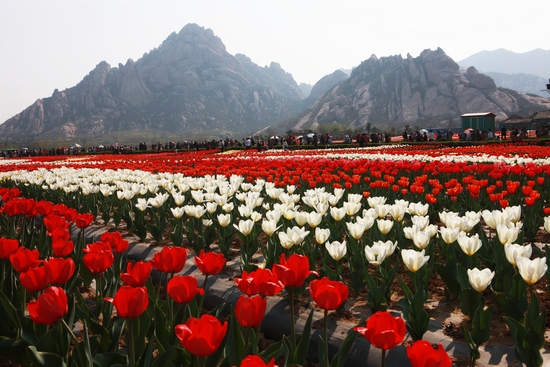 �����㻨�_���G ���o��(sh��)���˸�����