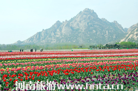 ��������&ldquo;�ټ�&rdquo;���ΔzӰ��(chu��ng)�����ؼ��zӰ��Ʒ�u(p��ng)�x���(d��ng)���v����(d��ng)