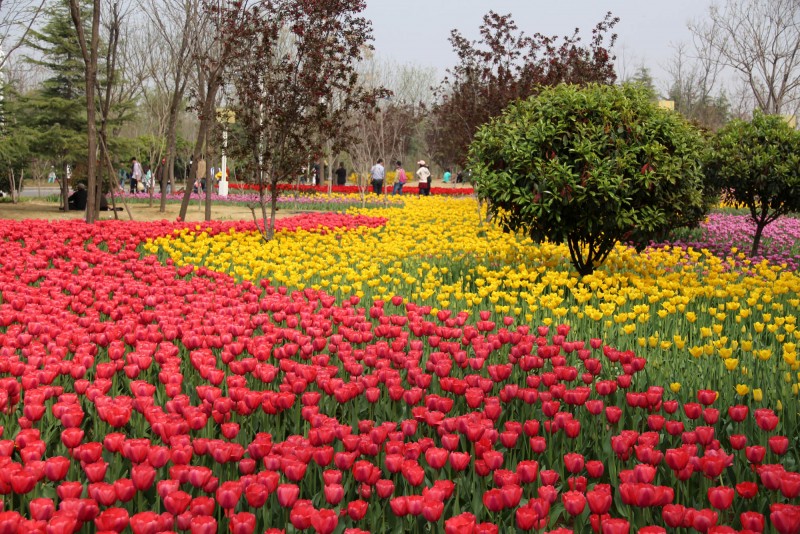 �p���αص����� ʡ��(n��i)�p�����ε����]