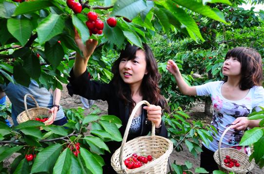 �ֵ����ҳ���r ʡ��(n��i)���Ҳ�ժ����